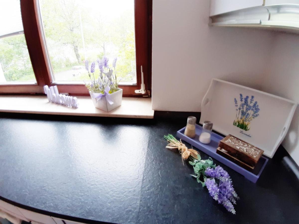 Ferienwohnung Albstadt Panorama 外观 照片