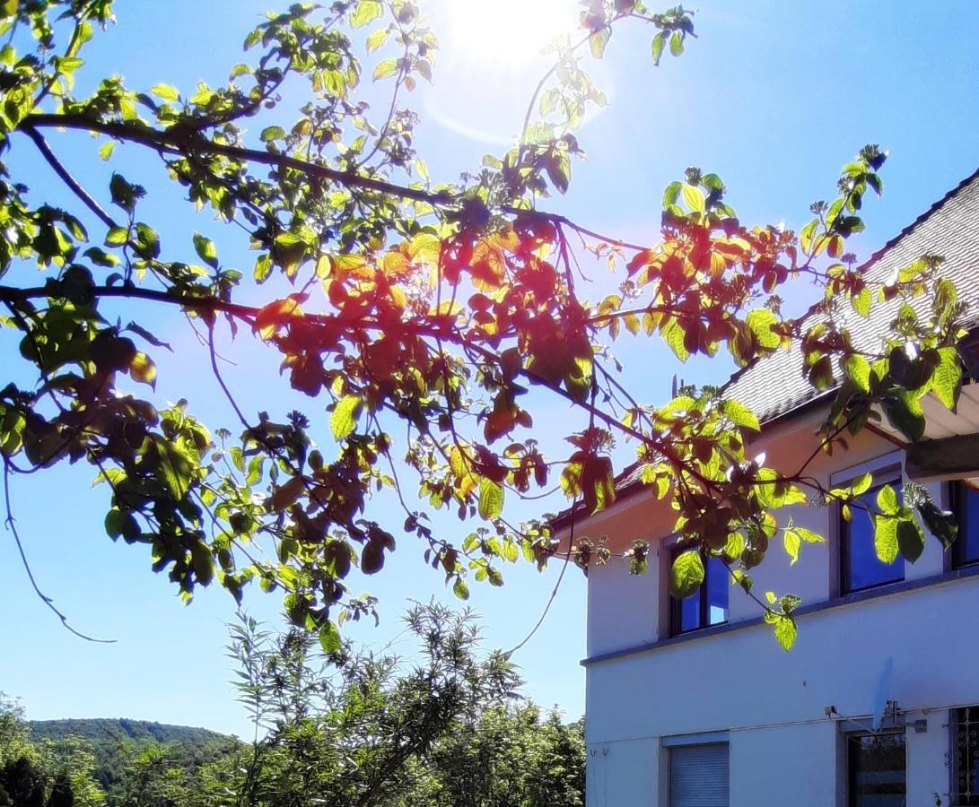 Ferienwohnung Albstadt Panorama 外观 照片